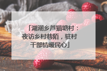 湖潮乡芦猫塘村：夜访乡村巷陌，驻村干部情暖民心